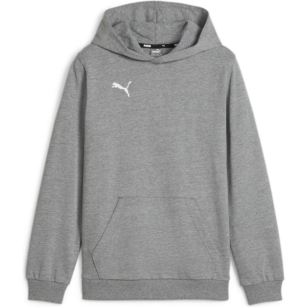 Puma Teamgoal Sweat-Shirt Capuche Hommes - Gris Clair Mélange