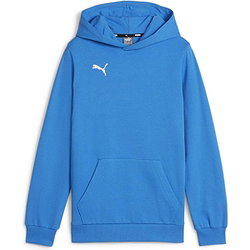 Puma Teamgoal Hoodie Heren - Royal