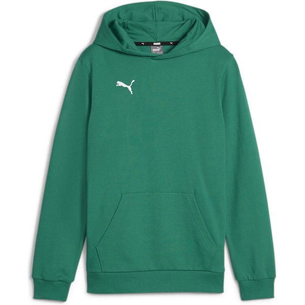 Puma Teamgoal Hoodie Kinderen - Groen