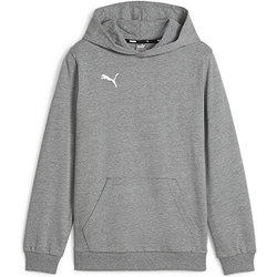 Puma Teamgoal Hoodie Kinderen - Lichtgrijs Gemeleerd