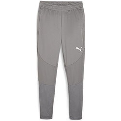 Puma Team Final Pantalon D‘Entraînement Hommes - Gris