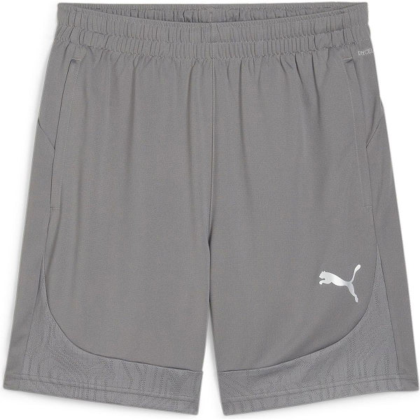 Puma Team Final Short D'entraînement Hommes - Gris