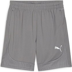 Puma Team Final Trainingsshorts Herren - Grau