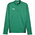 Puma Teamgoal Ziptop Kinder - Grün
