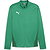 Puma Teamgoal Trainingsvest Polyester Heren - Groen