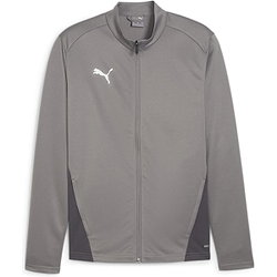 Puma Teamgoal Veste D'entraînement Polyester Hommes - Gris