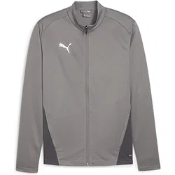 Puma Teamgoal Trainingsjacke Polyester Kinder - Grau