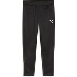 Puma Teamgoal Pantalon D‘Entraînement Hommes - Noir