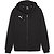 Puma Teamgoal Hooded Sweat Full Zip Enfants - Noir