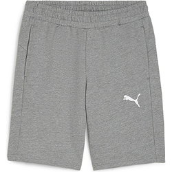 Puma Teamgoal Sweatshorts Herren - Hellgrau Meliert