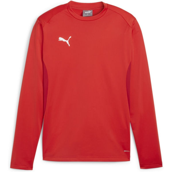 Puma Teamgoal Trainingssweater Heren - Rood