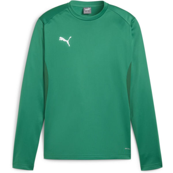 Puma Teamgoal Trainingssweater Heren - Groen