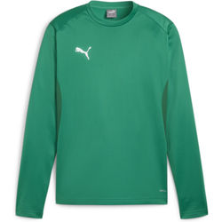 Voorvertoning: Puma Teamgoal Trainingssweater Heren - Groen