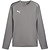 Puma Teamgoal Sweat D'entraînement Hommes - Gris