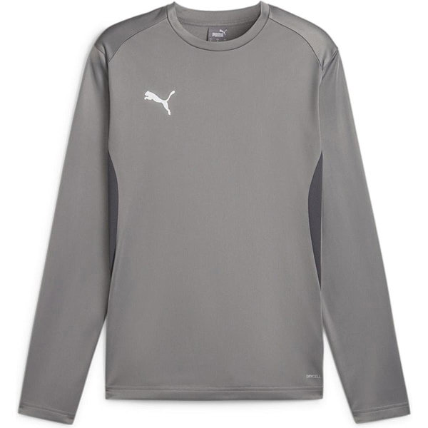 Puma Teamgoal Sweat D'entraînement Hommes - Gris