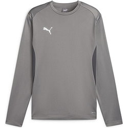Puma Teamgoal Sweat D'entraînement Hommes - Gris