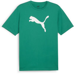 Vorschau: Puma Teamrise T-Shirt Herren - Grün