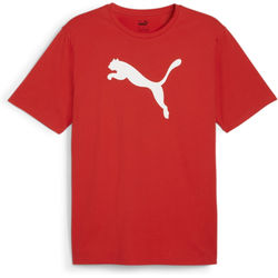 Présentation: Puma Teamrise T-Shirt Hommes - Rouge