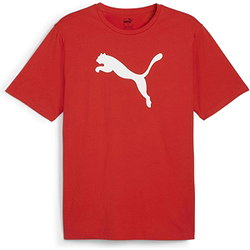 Présentation: Puma Teamrise T-Shirt Enfants - Rouge
