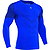 Macron Performance++ Trikot Langarm Herren - Royal