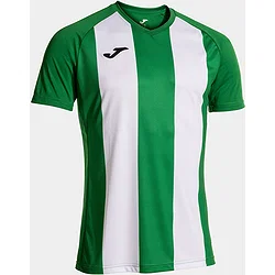 Joma Inter IV Maillot Manches Courtes Hommes - Vert / Blanc