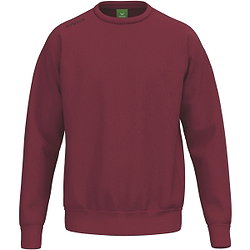 Erima Sweatshirt Heren - New Bordeaux