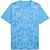 Puma Teamultimate Shirt Korte Mouw Heren - Hemelsblauw
