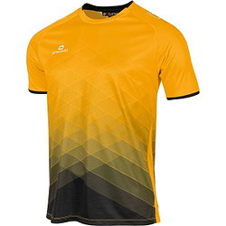 Vorschau: Stanno Altius Trikot Kurzarm Kinder - Amber / Schwarz