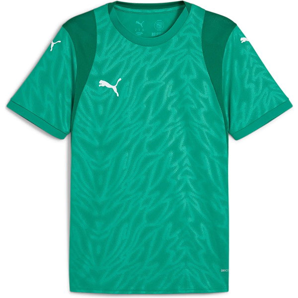 Puma Teamcup Shirt Korte Mouw Heren - Groen