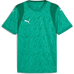 Puma Teamcup Trikot Kurzarm Herren - Grün