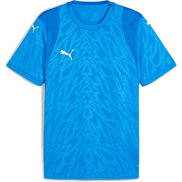 Puma Teamcup Trikot Kurzarm Herren - Royal