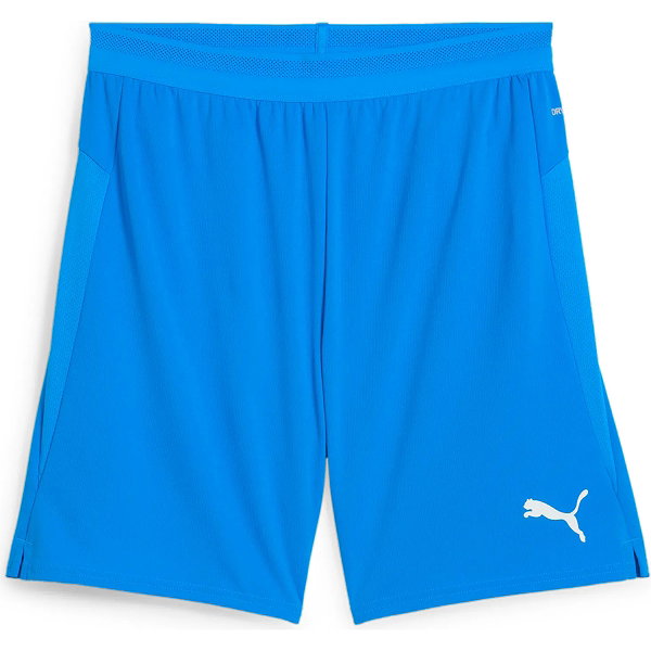 Puma Team Cup Shorts Herren - Royal