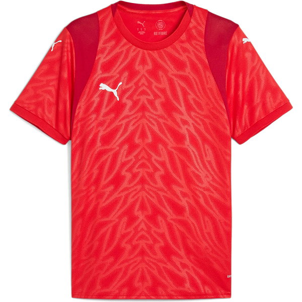 Puma Teamcup Shirt Korte Mouw Heren - Rood