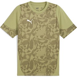 Puma Teamcup Trikot Kurzarm Herren - Olive