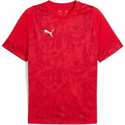 Puma Teamcup Trikot Kurzarm Herren - Rot