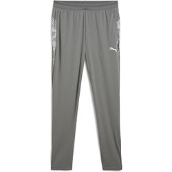 Puma Teamcup Pantalon D‘Entraînement Hommes - Gris