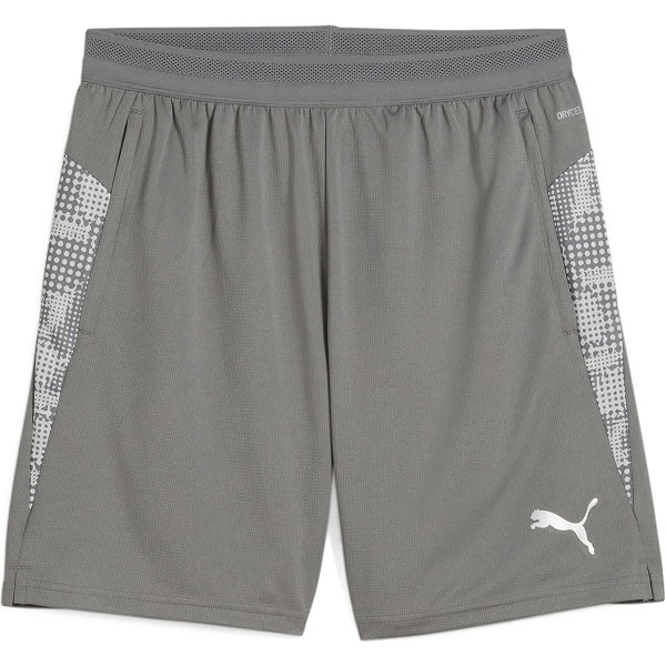 Puma Teamcup Short D'entraînement Hommes - Gris