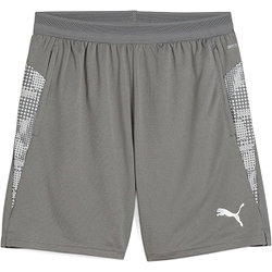 Présentation: Puma Teamcup Short D'entraînement Hommes - Gris