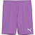 Puma Teamgoal Short Hommes - Mauve