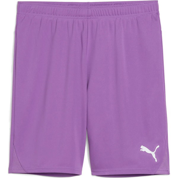 Puma Teamgoal Short Hommes - Mauve