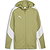 Puma Teamevostripe Veste Capuche Hommes - Olive