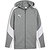 Puma Teamevostripe Veste Capuche Hommes - Gris