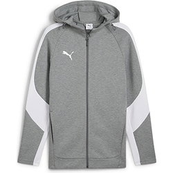 Puma Teamevostripe Veste Capuche Hommes - Gris