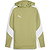 Puma Teamevostripe Sweater Met Kap Heren - Olive