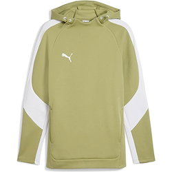 Puma Teamevostripe Sweat À Capuchon Hommes - Olive