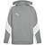 Puma Teamevostripe Sweater Met Kap Heren - Grijs