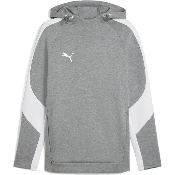 Puma Teamevostripe Sweat À Capuchon Hommes - Gris