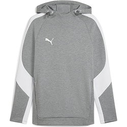 Puma Teamevostripe Sweat À Capuchon Hommes - Gris