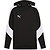 Puma Teamevostripe Sweater Met Kap Heren - Zwart