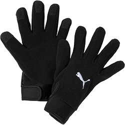 Puma Teamliga Gants Polaires - Noir